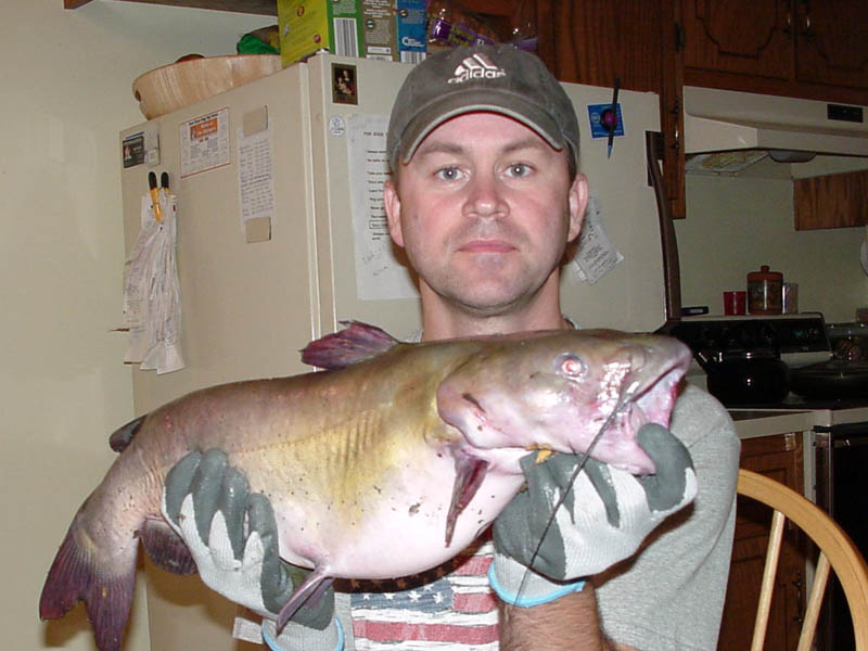 ������� ��� ����������