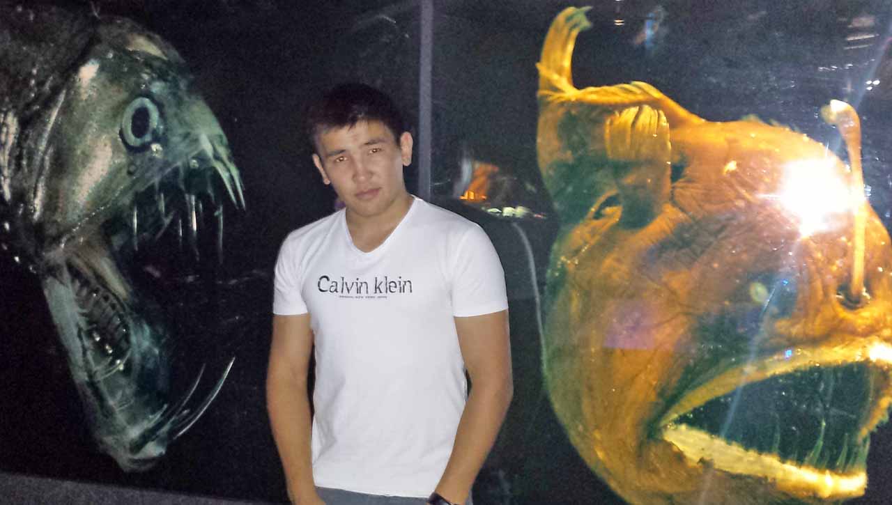 ������� ��� ����������