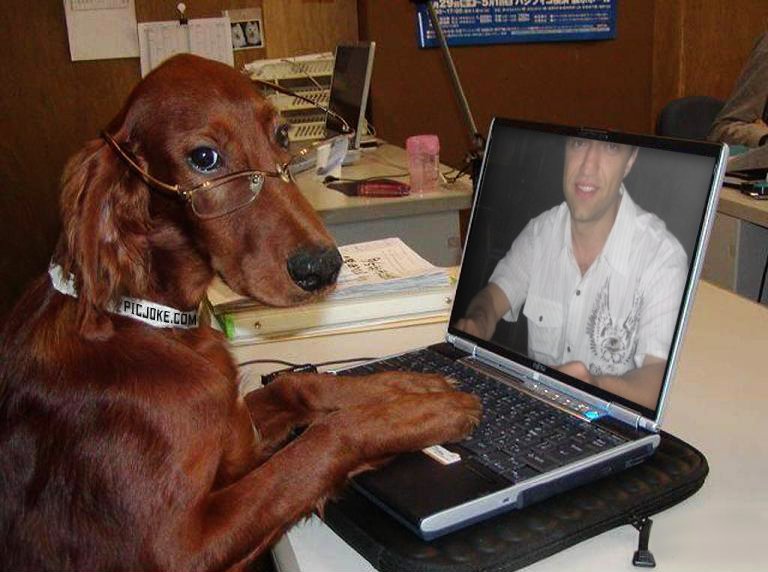 ������� ��� ����������