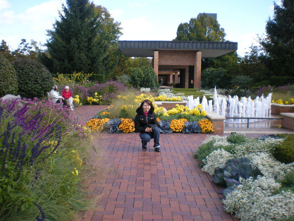 ������� ��� ����������